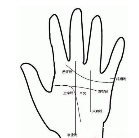 旺夫相女人手相特征 女性旺夫手是怎么样的 旺夫相女人手相特征 女性旺夫手是怎么样的