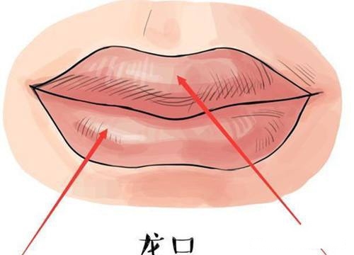 女人旺夫嘴型长什么样 旺夫嘴女人的特征 女人旺夫嘴型长什么样 旺夫嘴女人的特征